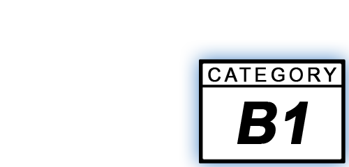 Cat B1